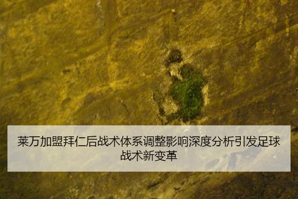 莱万加盟拜仁后战术体系调整影响深度分析引发足球战术新变革
